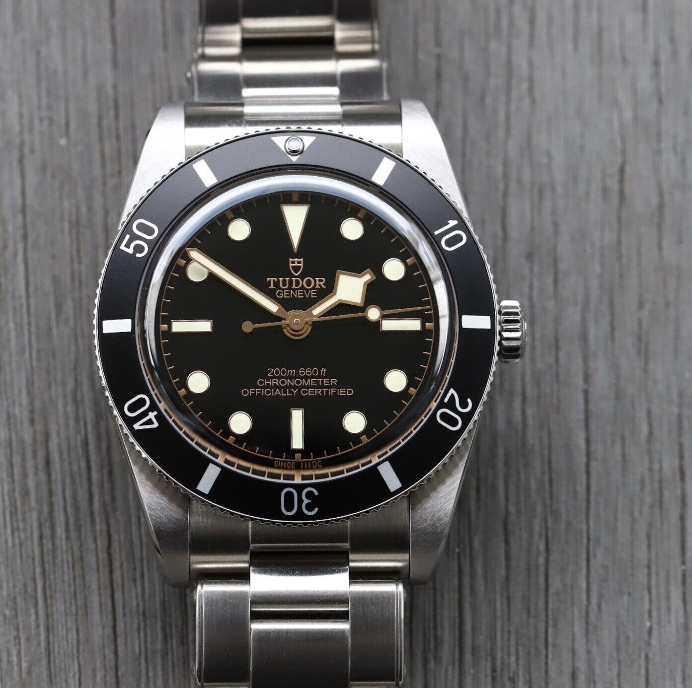 TudorBlackBay5479000N-2023WatchVault01.jpg